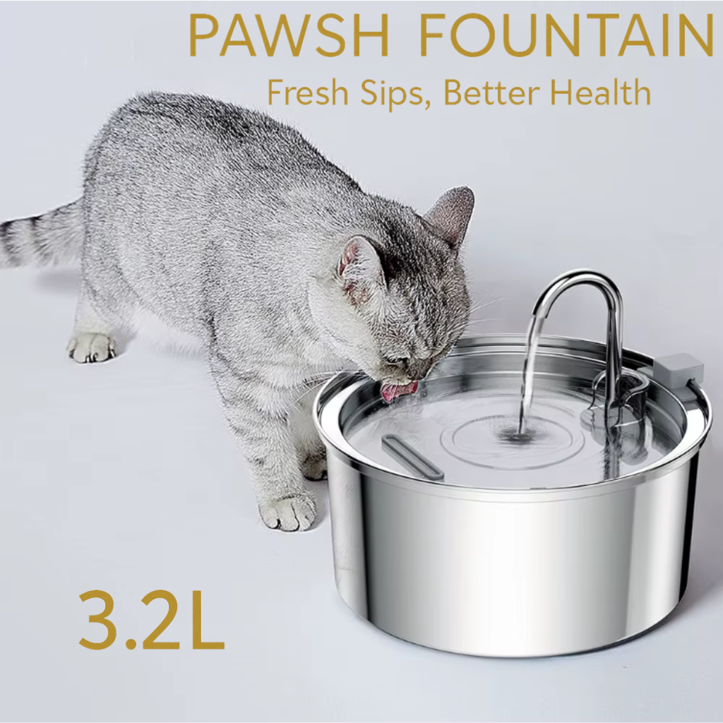 The Pawsh Fountain